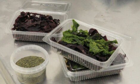 Three plastic containers with greens and spices on a table.