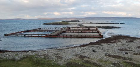 Four salmon cages belonging to Lakeland Unst washed up at Skea, North Roe, after coming loose during a tow on Monday night. Pic. Shetland News