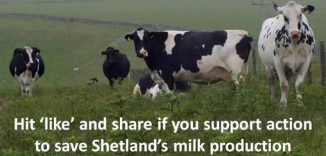 Growing support for the local dairy industry - Source: Save our Shetland Milk Facebook site