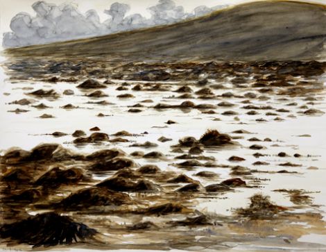 The low seaweedy shoreline often ignored.