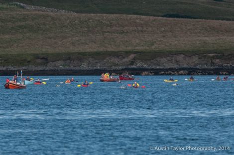 The swimmers, flanked by guardboats and kayaks, making their way across the harbour. Photo: Austin Taylor