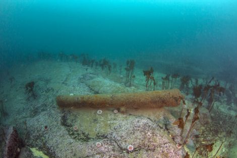 Cannon from the Drottningen af Swerige, photographed on the seabed by Donald Jeffries.