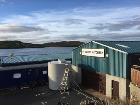 The hatchery at the NAFC Marine Centre in Scalloway. Photo: Scottish Aquaculture Innovation Centre