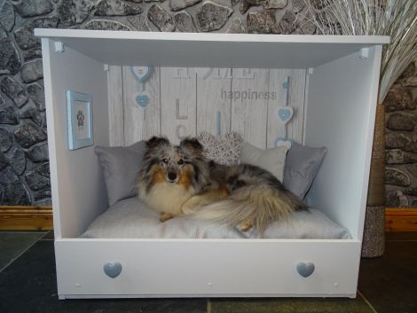 Old furniture is being 'upcycled' into plush dog beds.
