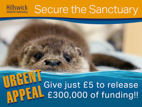 A fundraising appeal has been launched to secure the sanctuary's long-term future.