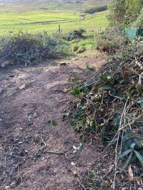 Pile of trimmed branches and garden debris on cleared land with a grassy field in the background.