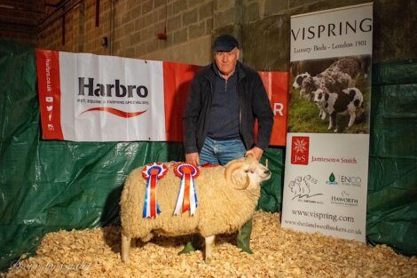 An elderly man posing with a prize-winning sheep adorned with ribbons in front of sponsorship banners at a livestock event.