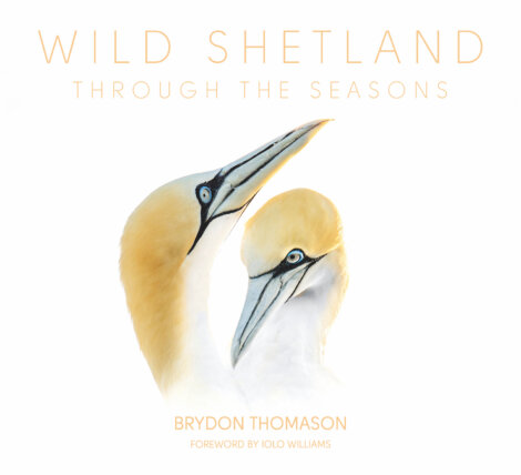 Wild shetland through the seasons.