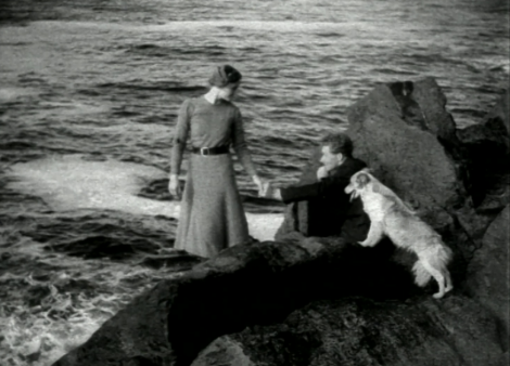 A man and woman standing on rocks next to a dog.
