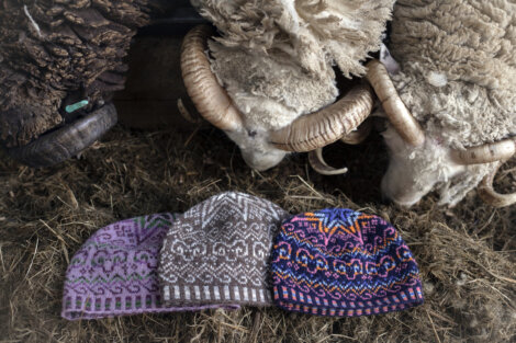 Two knitted hats with intricate patterns on the ground in front of two sheep in a barn.